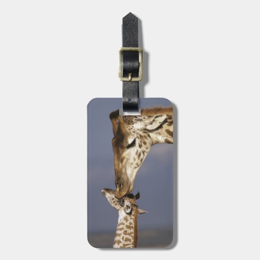 Afrika, Kenia, Masai Mara. Giraffen (Giraffen) Gepäckanhänger (Vorderseite vertikal)