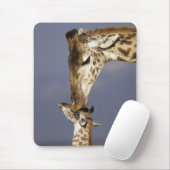 Afrika, Kenia, Masai Mara. Giraffen (Giraffen) Mousepad (Mit Mouse)