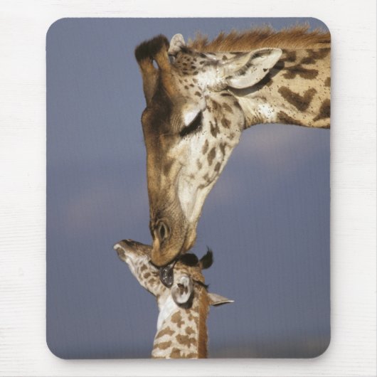 Afrika, Kenia, Masai Mara. Giraffen (Giraffen) Mousepad (Vorne)