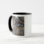 Afrika. Kenia. Masai Mara. Leopard (Panthera Tasse (Vorderseite Links)
