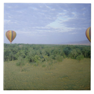 Afrika, Kenia, Masai Mara National Preserve, 2 Fliese