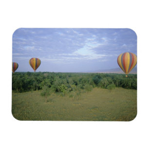 Afrika, Kenia, Masai Mara National Preserve, 2 Magnet