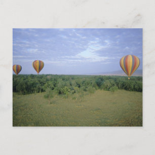 Afrika, Kenia, Masai Mara National Preserve, 2 Postkarte