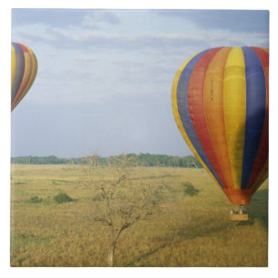 Afrika, Kenia, Masai Mara National Preserve, Fliese