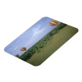 Afrika, Kenia, Masai Mara National Reserve, 2 Magnet (Linke Seite)