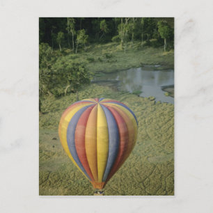 Afrika, Kenia, Masai Mara National Reserve, 3 Postkarte