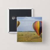 Afrika, Kenia, Masai Mara National Reserve, Button (Vorne & Hinten)