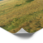 Afrika, Kenia, Masai Mara National Reserve, Poster (Ecke)
