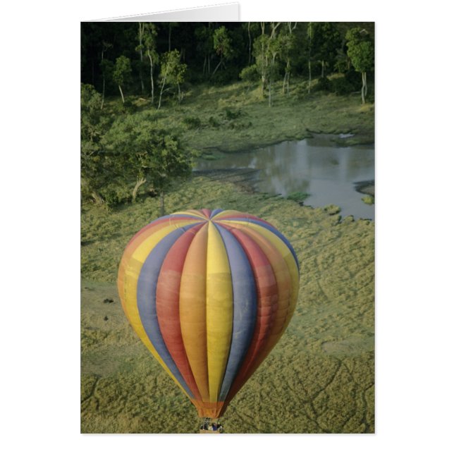 Afrika, Kenia, Masai Mara Nationalpark, 3 (Vorne)