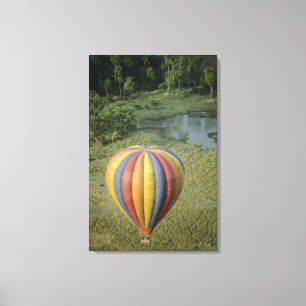 Afrika, Kenia, Masai Mara Nationalpark, 3 Leinwanddruck