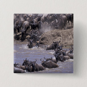 Afrika, Kenia, Masai Mara Nationalpark. Button