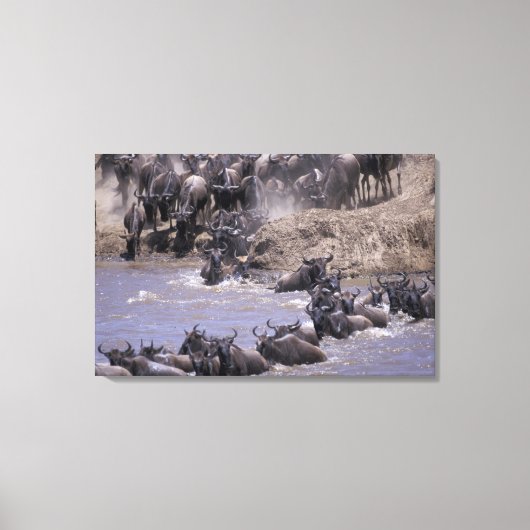 Afrika, Kenia, Masai Mara Nationalpark. Leinwanddruck (Vorderseite)