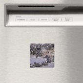 Afrika, Kenia, Masai Mara Nationalpark. Magnet (In Situ (Geschirrspüler))