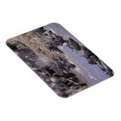 Afrika, Kenia, Masai Mara Nationalpark. Magnet (Rechte Seite)