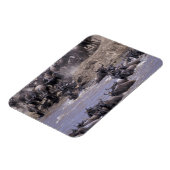 Afrika, Kenia, Masai Mara Nationalpark. Magnet (Linke Seite)