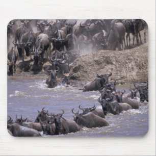 Afrika, Kenia, Masai Mara Nationalpark. Mousepad