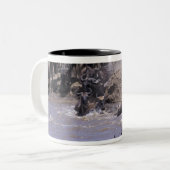 Afrika, Kenia, Masai Mara Nationalpark. Zweifarbige Tasse (Vorderseite Links)