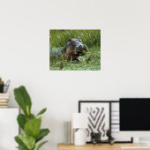 Afrika, Kenia, Masai Mara NR. Eine Mutter Nilpferd Poster (Heimbüro)