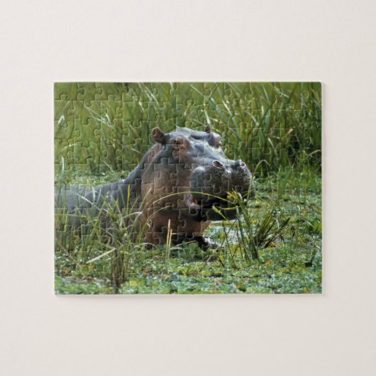 Afrika, Kenia, Masai Mara NR. Eine Mutter Nilpferd Puzzle (Horizontal)