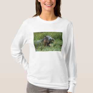 Afrika, Kenia, Masai Mara NR. Eine Mutter Nilpferd T-Shirt