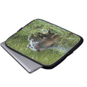 Afrika, Kenia, Masai Mara NR. Mutterhippo Laptopschutzhülle (Vorne Knopf)