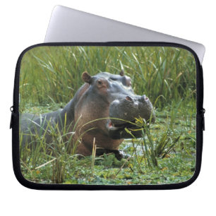Afrika, Kenia, Masai Mara NR. Mutterhippo Laptopschutzhülle