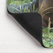 Afrika, Kenia, Masai Mara NR. Mutterhippo Mousepad (Ecke)