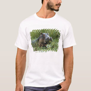 Afrika, Kenia, Masai Mara NR. Mutterhippo T-Shirt