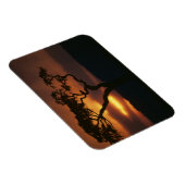 Afrika, Kenia, Masai-Mara-Spielreservat, Magnet (Rechte Seite)