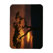 Afrika, Kenia, Masai-Mara-Spielreservat, Magnet (Vertikal)