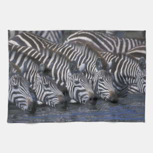 Afrika, Kenia, Masai Mara Wildreservat, Ebenen Handtuch