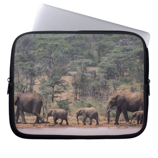 Afrika, Kenia, Nanyuki, Mpala. afrikanisch Laptopschutzhülle (Vorderseite)