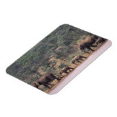 Afrika, Kenia, Nanyuki, Mpala. afrikanisch Magnet (Linke Seite)