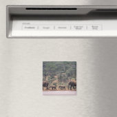 Afrika, Kenia, Nanyuki, Mpala. afrikanisch Magnet (In Situ (Geschirrspüler))