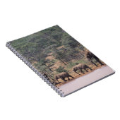 Afrika, Kenia, Nanyuki, Mpala. afrikanisch Notizblock (Rechte Seite)