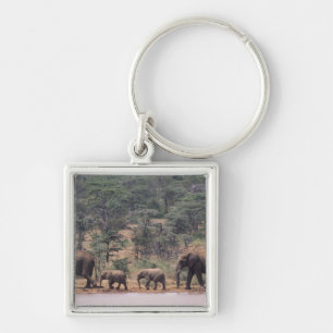 Afrika, Kenia, Nanyuki, Mpala. afrikanisch Schlüsselanhänger