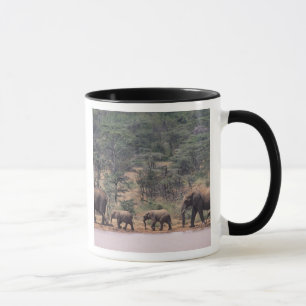 Afrika, Kenia, Nanyuki, Mpala. afrikanisch Tasse