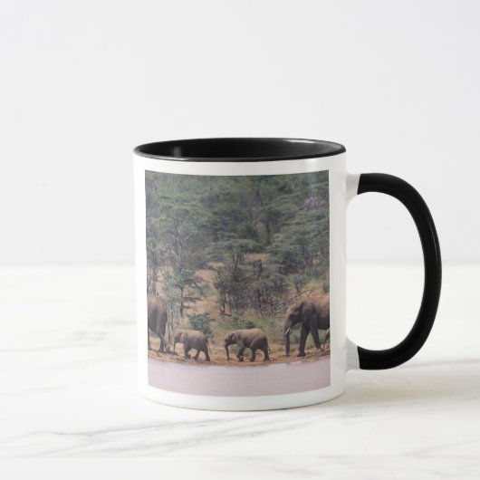 Afrika, Kenia, Nanyuki, Mpala. afrikanisch Tasse (Rechts)