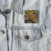 Afrika, Kenia. Porträt eines Löwen. Button (Beispiel)