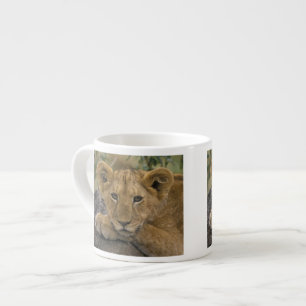 Afrika, Kenia. Porträt eines Löwen. Espressotasse