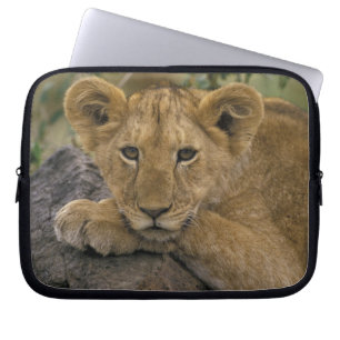 Afrika, Kenia. Porträt eines Löwen. Laptopschutzhülle