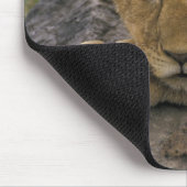 Afrika, Kenia. Porträt eines Löwen. Mousepad (Ecke)