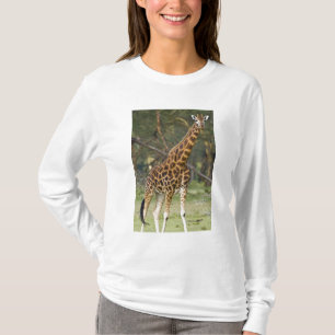 Afrika. Kenia. Rothschild-Giraffe am Lake 2 T-Shirt