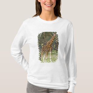 Afrika. Kenia. Rothschild-Giraffe am See 2 T-Shirt
