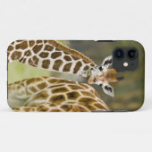 Afrika. Kenia. Rothschild-Giraffe-Baby Case-Mate iPhone Hülle (Rückseite (Horizontal))