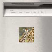 Afrika. Kenia. Rothschild-Giraffe-Baby Magnet (In Situ (Geschirrspüler))