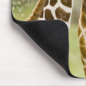 Afrika. Kenia. Rothschild-Giraffe-Baby Mousepad (Ecke)