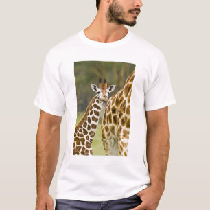 Afrika. Kenia. Rothschild-Giraffenbaby T-Shirt