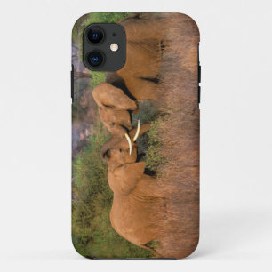 Afrika, Kenia, Samburu. Elefanten-Herausforderung Case-Mate iPhone Hülle