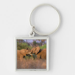 Afrika, Kenia, Samburu. Elefanten-Herausforderung Schlüsselanhänger